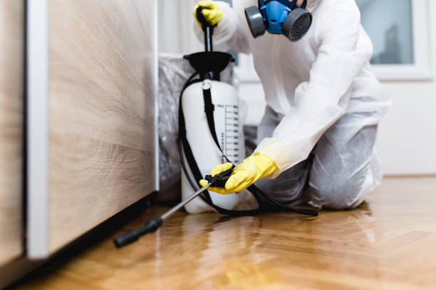 Best Best Pest Control Companies  in Tavares, FL