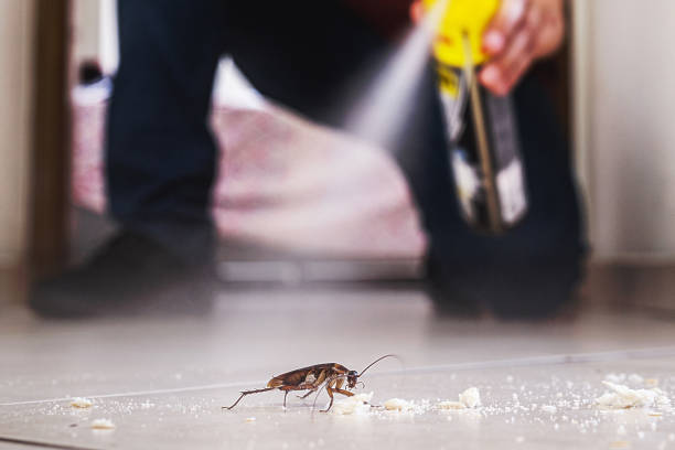 Best Commercial Pest Control Services  in Tavares, FL