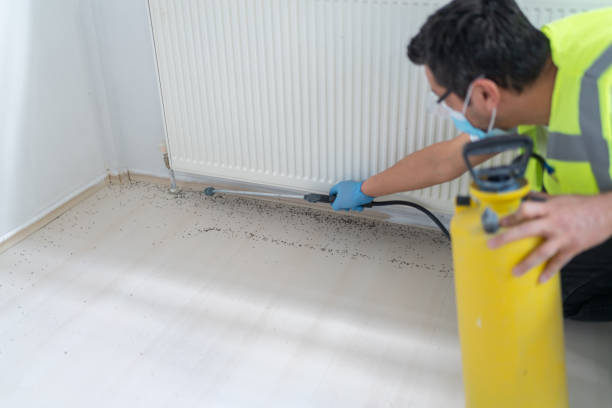 Pest Control Cost in Tavares, FL